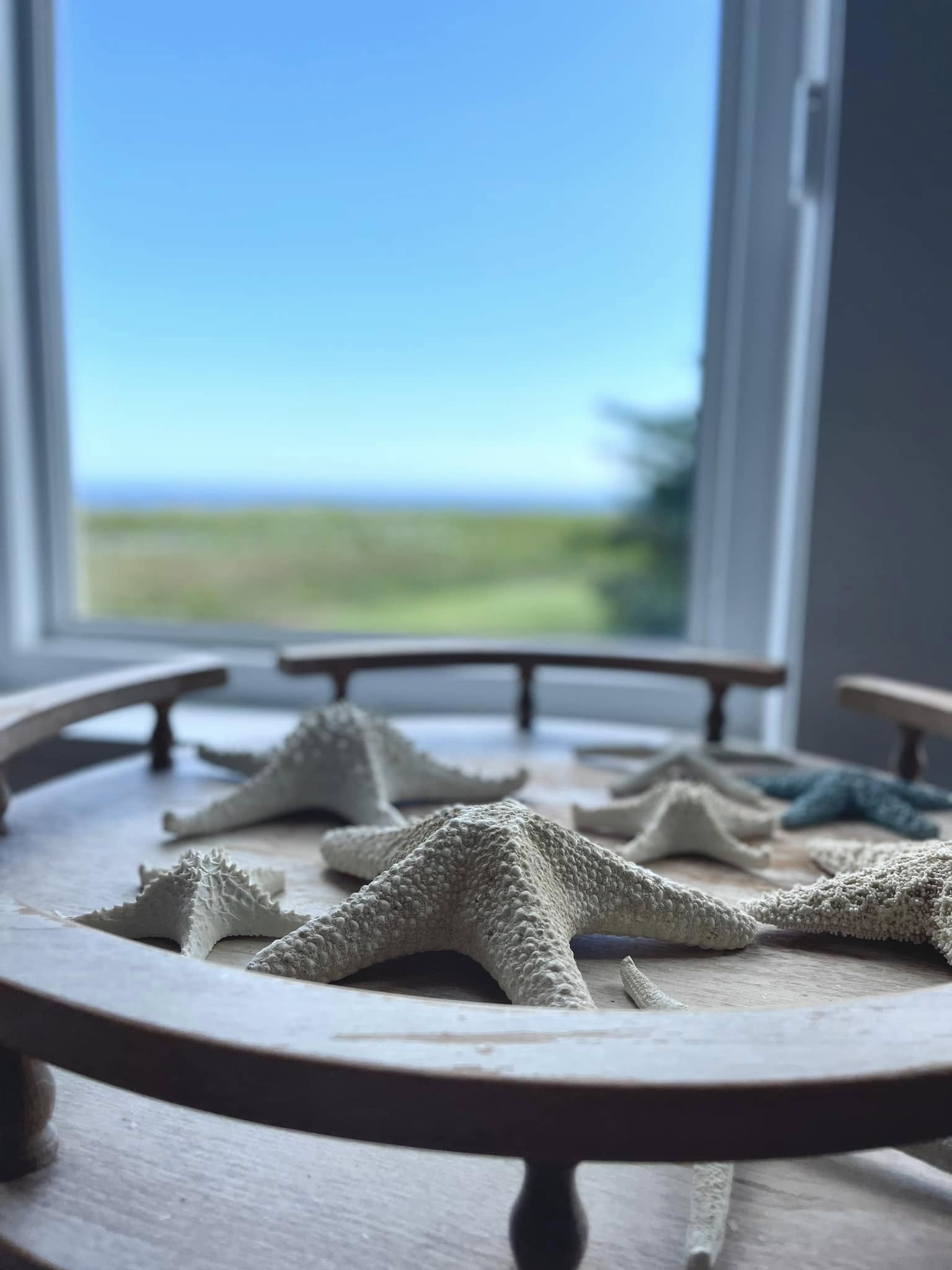 Starfish on a wooden tray in front of an ocean-view window